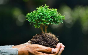 Dinas Lingkungan Hidup Bontang: Pilar Utama dalam Pengelolaan dan Pelestarian Lingkungan di Kota Bontang